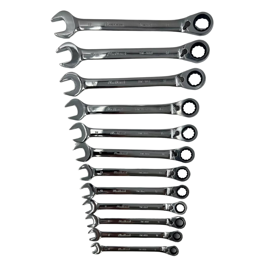 Blackhawk by Proto 12 Piece Metric Reversible Ratcheting Combination Wrench Set BW-1450
