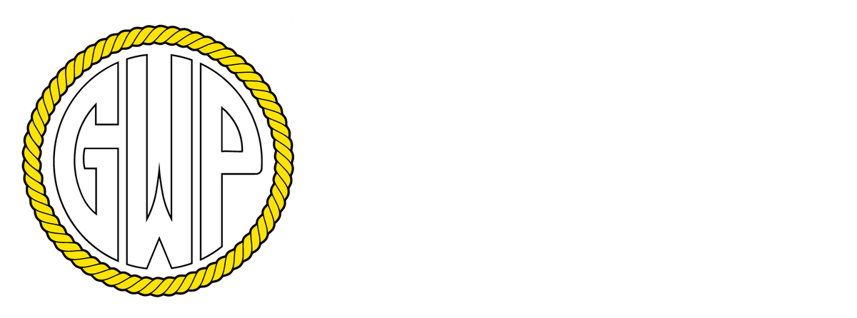 General Work Products PVC Gloves (GENWG2234)