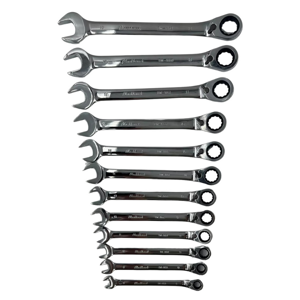 Blackhawk by Proto 12 Piece Metric Reversible Ratcheting Combination W ...