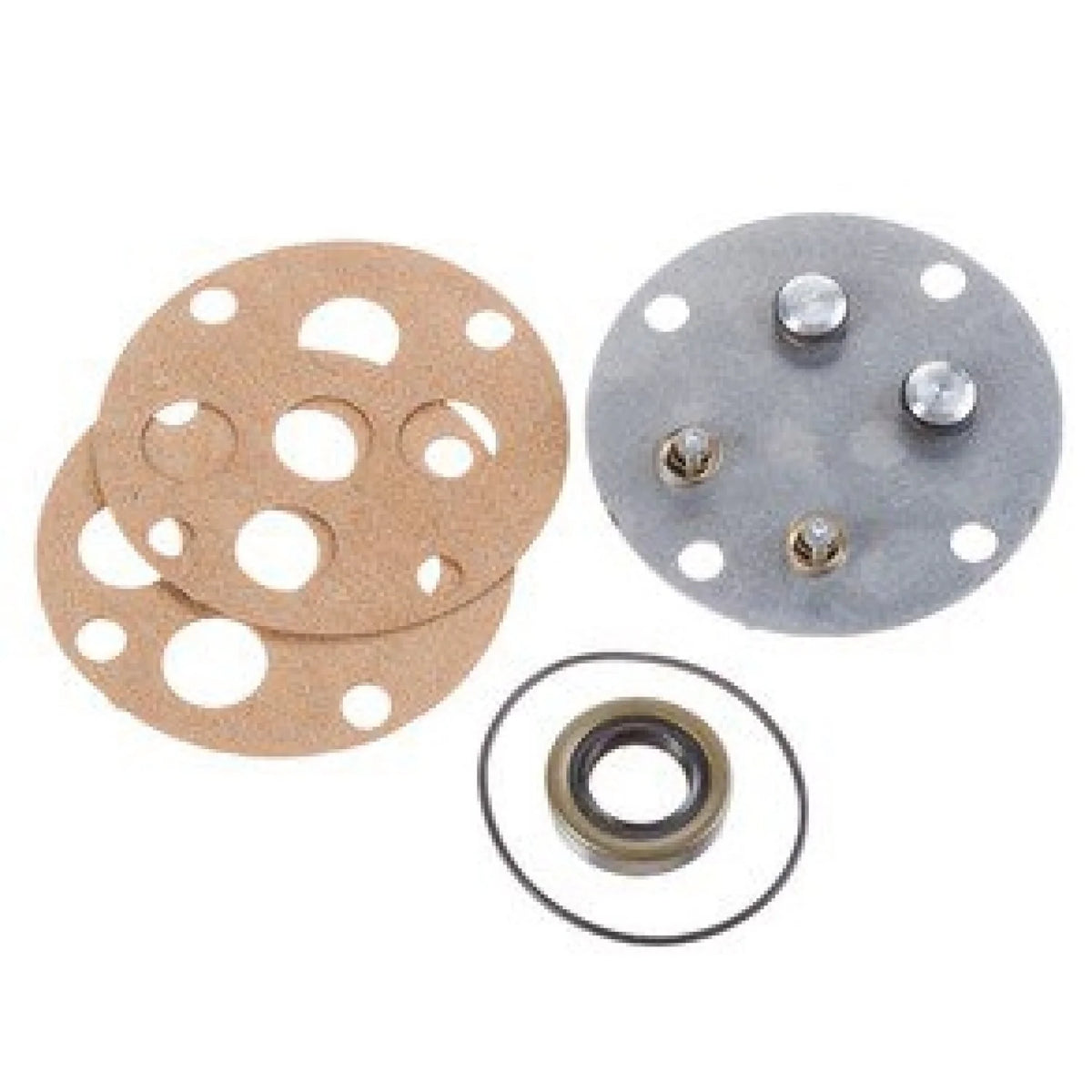 RIDGID ML Pump Service Kit for 1224 Threading Machine (33422)